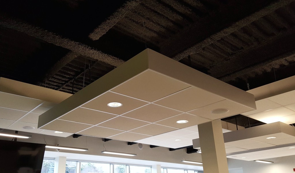 Enhance Privacy and Productivity with Cutting-Edge Sound Masking Technology